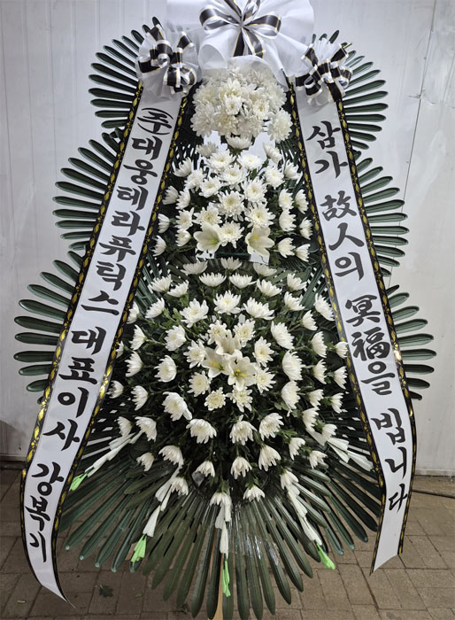 ST-FB233