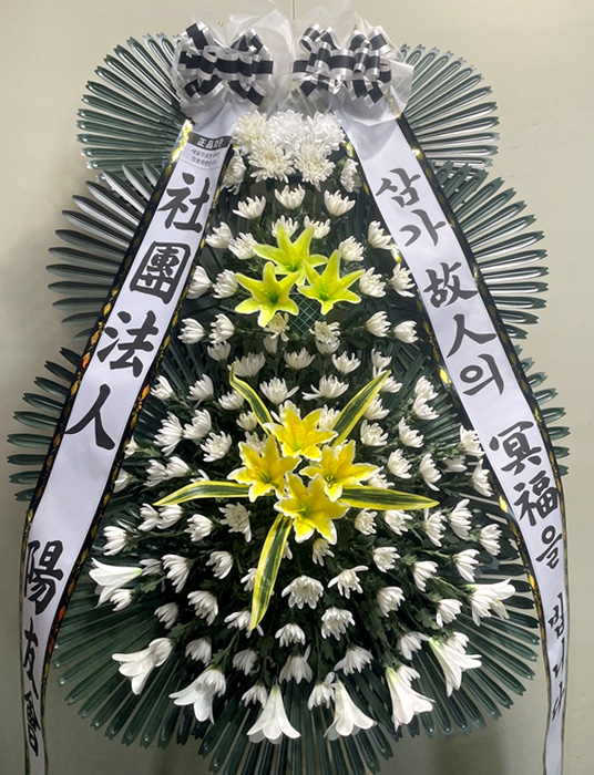 ST-FB154