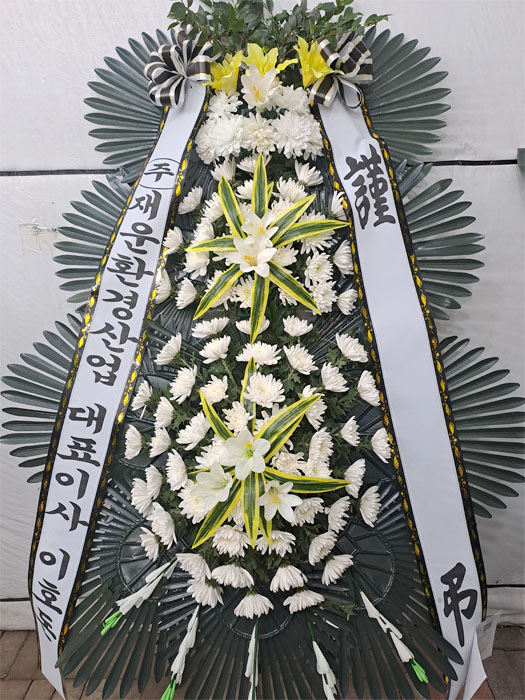 ST-FB226