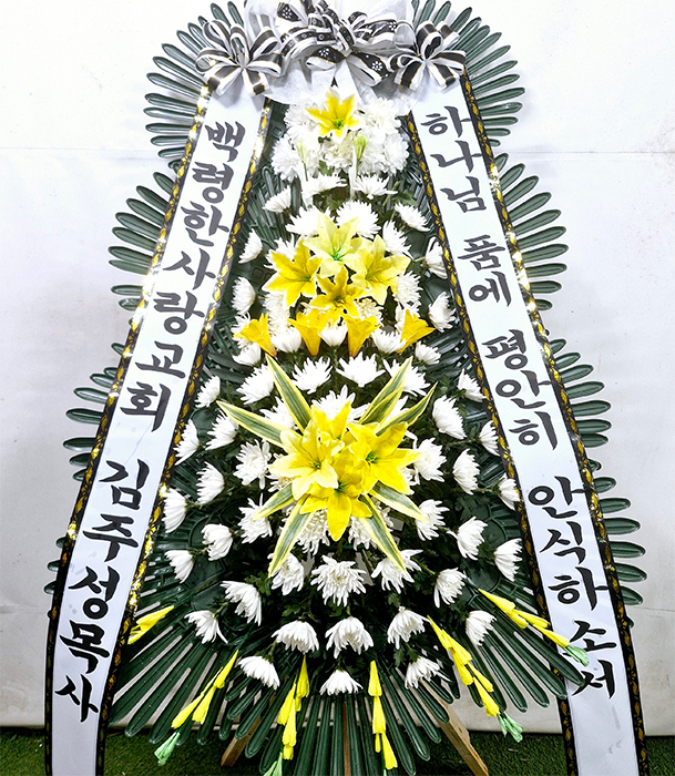 ST-FB155