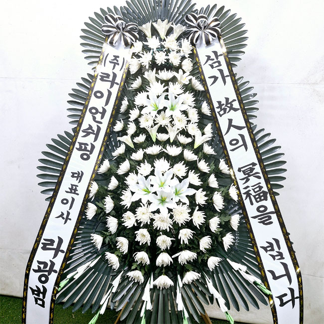 ST-FB226