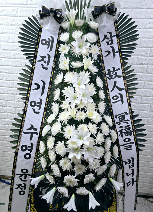 ST-FB233