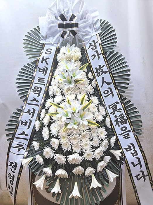 ST-FB233