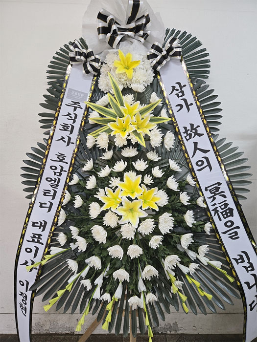 ST-FB154
