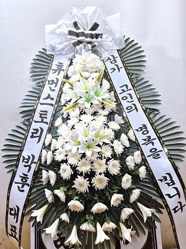 ST-FB226