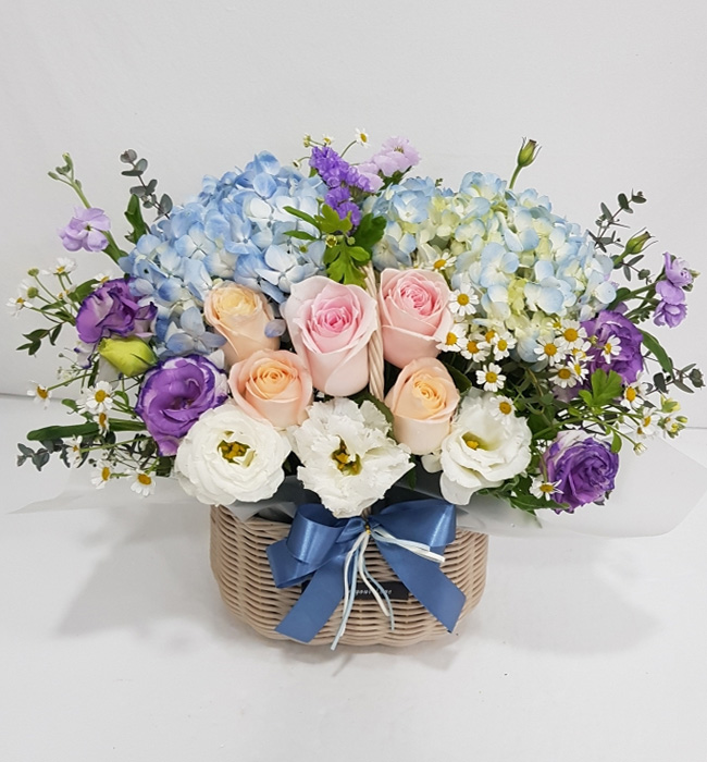 ST-A1661
