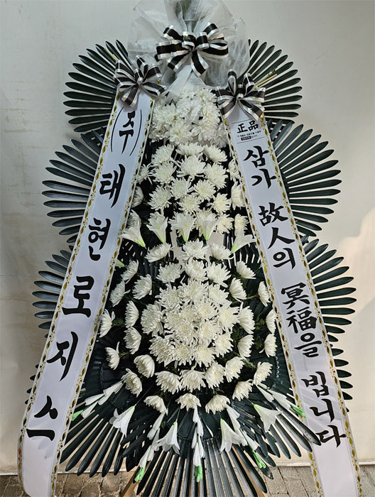 ST-FB162