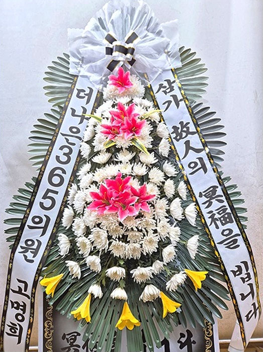ST-FB141