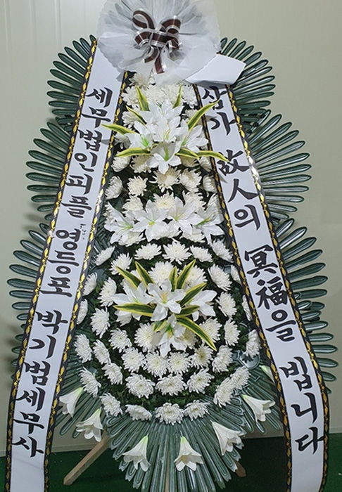 ST-FB233