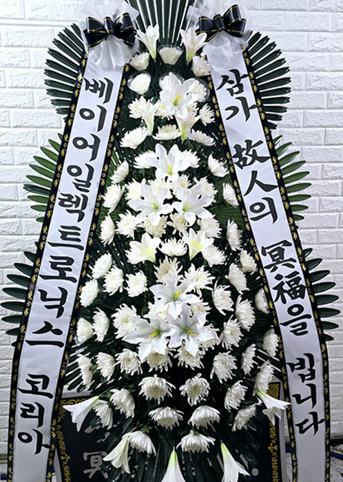 ST-FB233