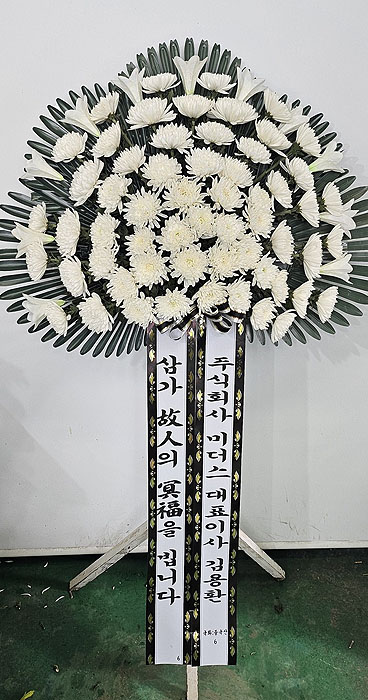 ST-FB260