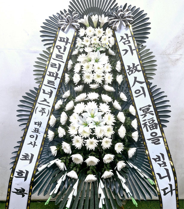 ST-FB233