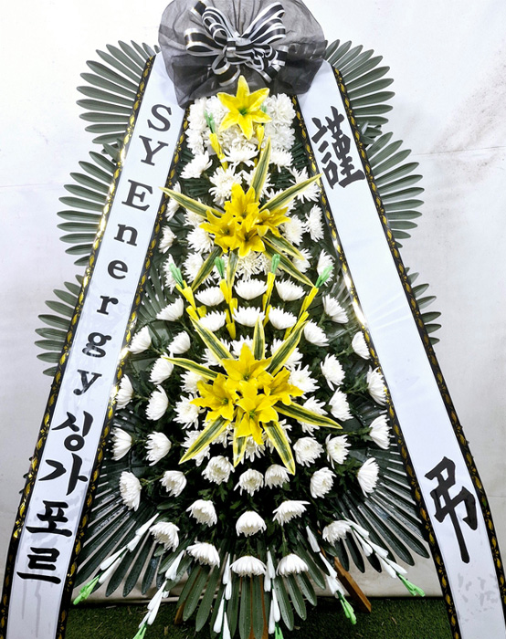 ST-FB154