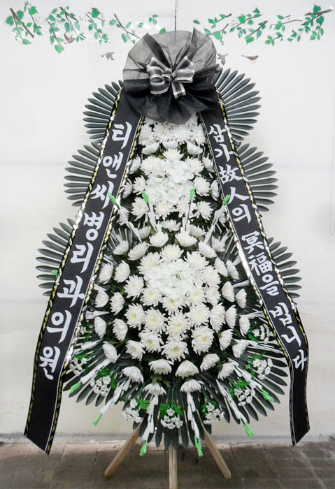 ST-FB252