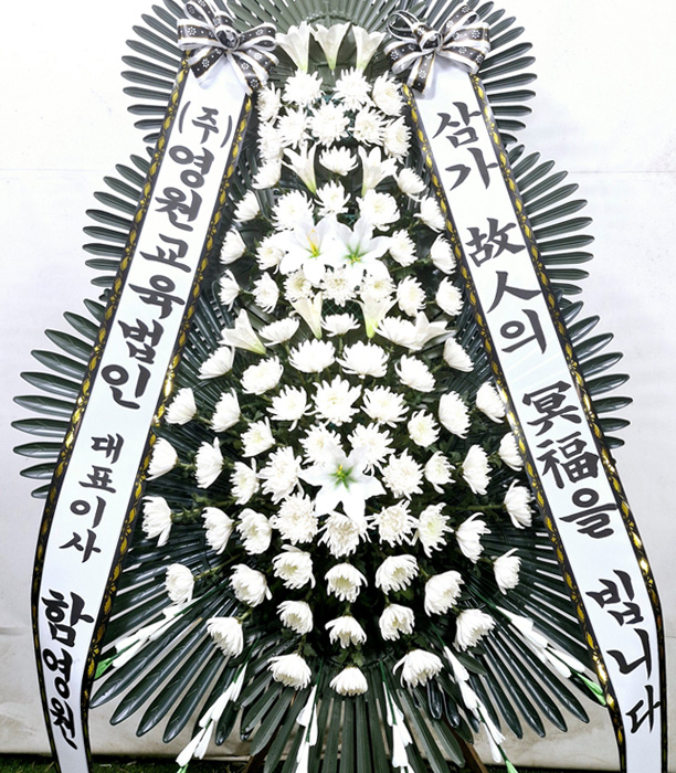 ST-FB233