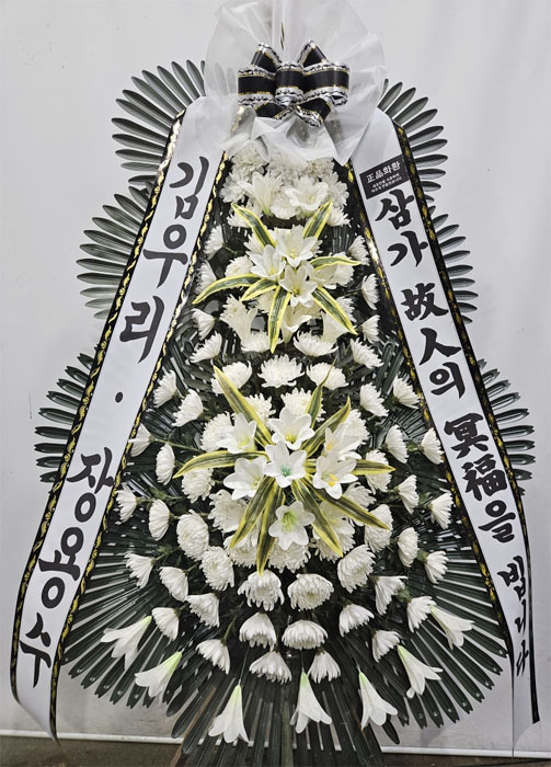 ST-FB226
