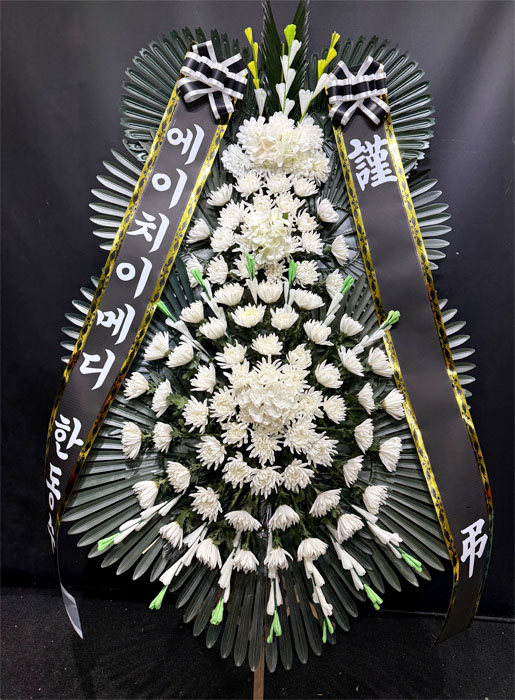ST-FB252