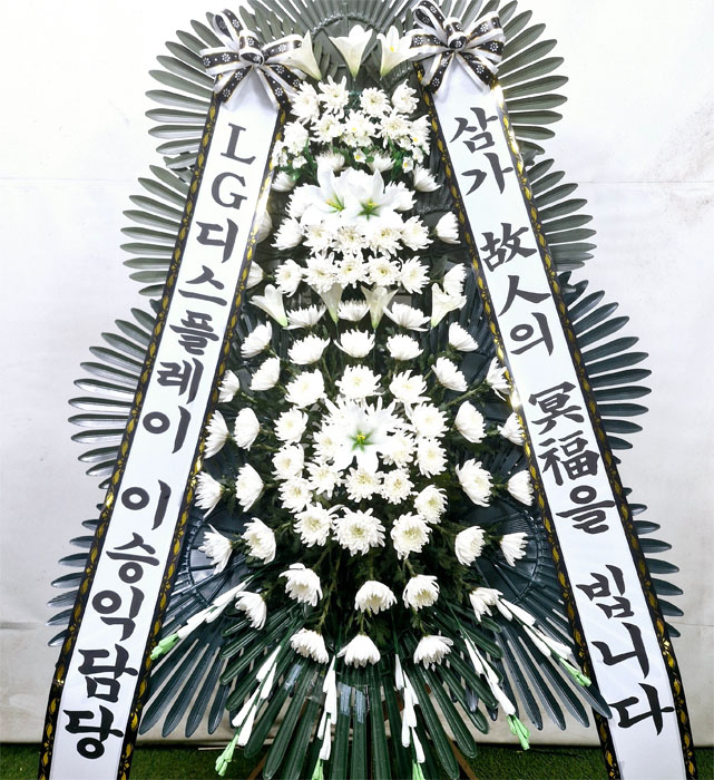 ST-FB226