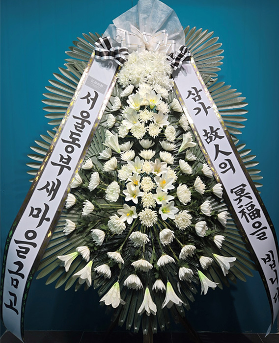ST-FB226