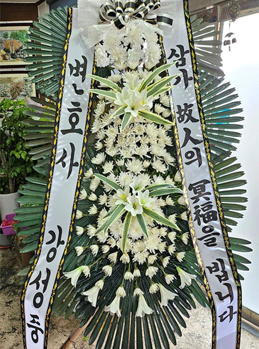 ST-FB226