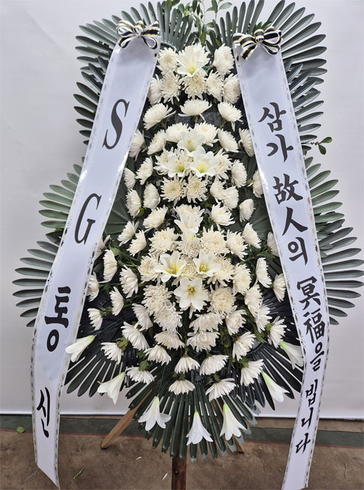 ST-FB226