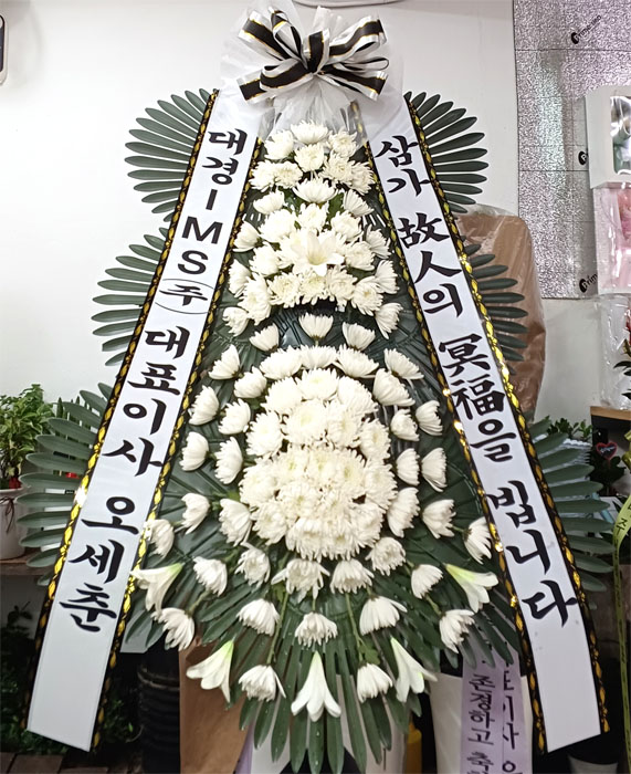 ST-FB226