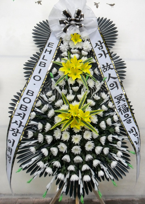 ST-FB0001