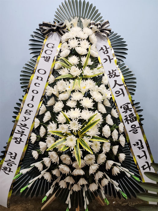 ST-FB162