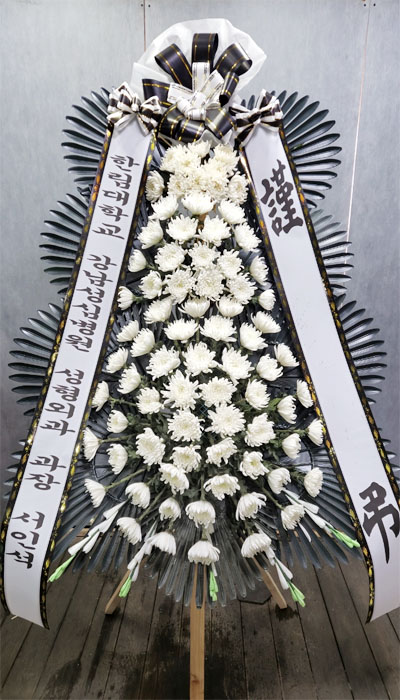 ST-FB233