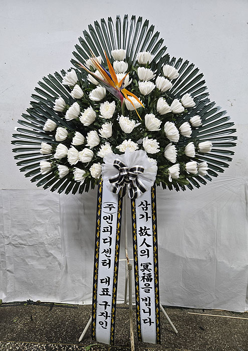 ST-FB162