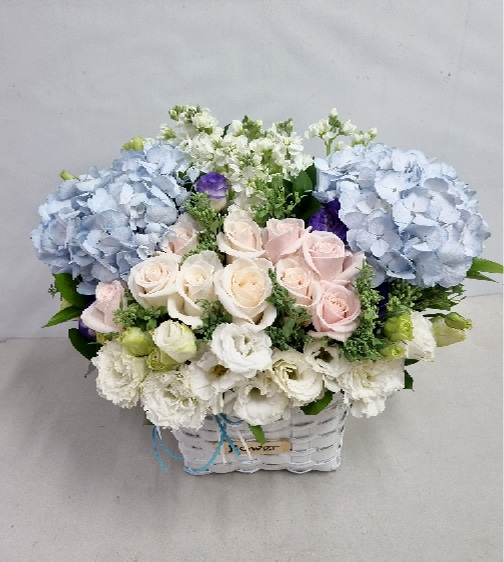 ST-A1661