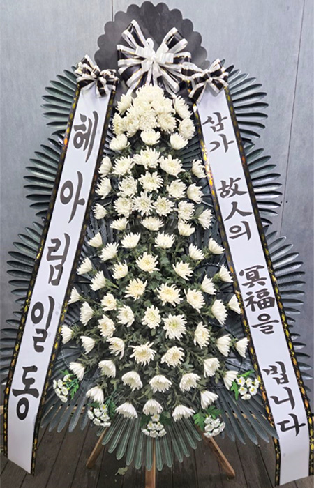 ST-FB233
