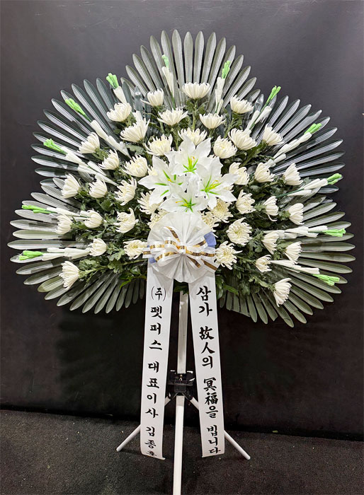 ST-FB260