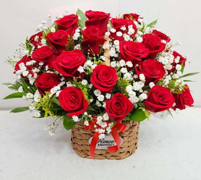 ST-A2055