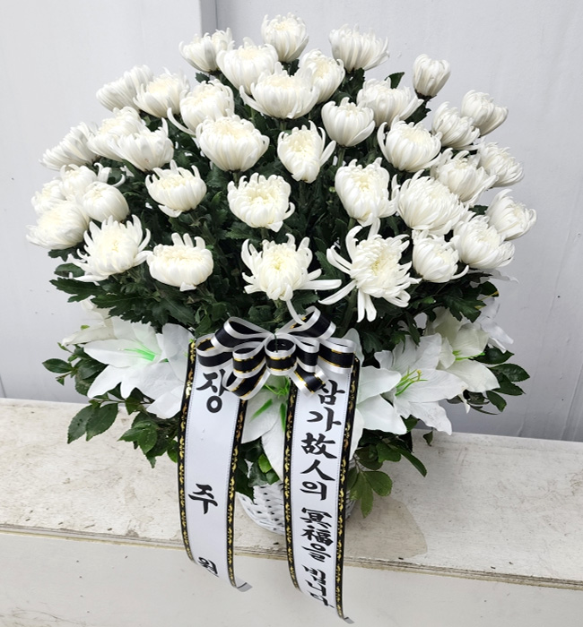 ST-FB225