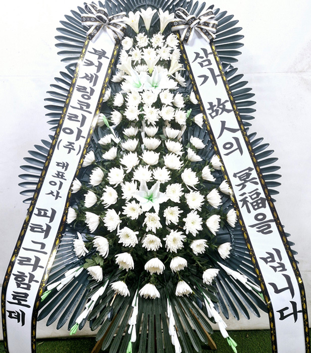 ST-FB226