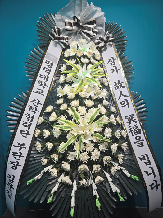 ST-FB226