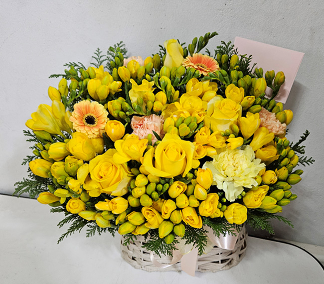 ST-A1717