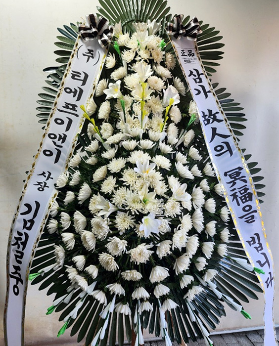 ST-FB226