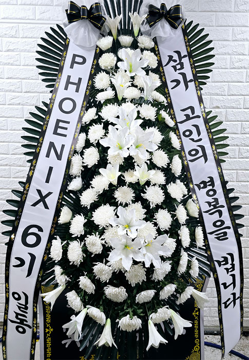 ST-FB226