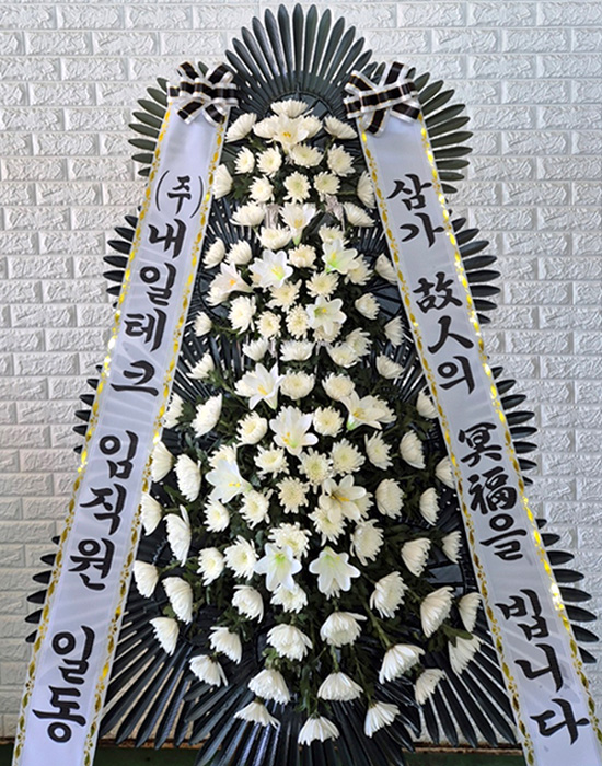 ST-FB226