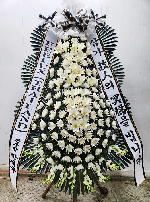 ST-FB226