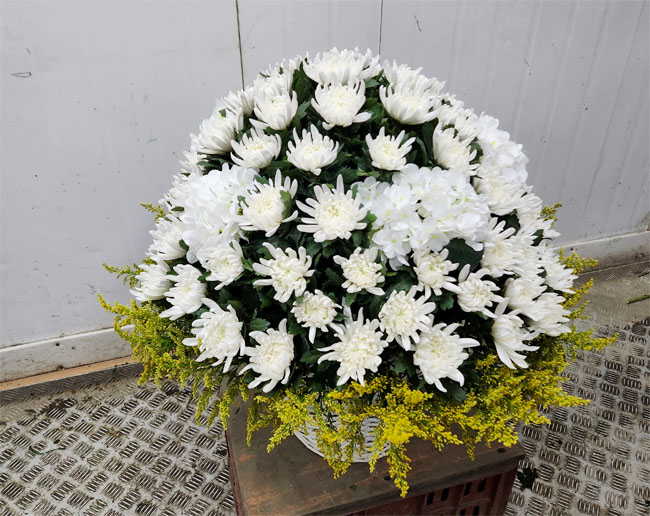 ST-FB257