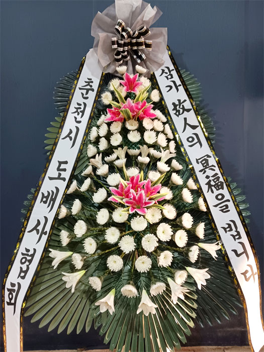ST-FB142