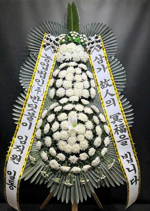 ST-FB233