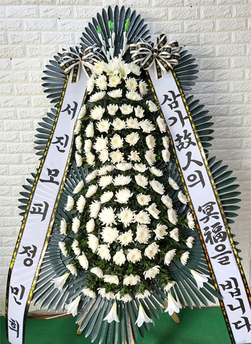 ST-FB233