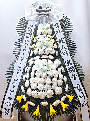 ST-FB226