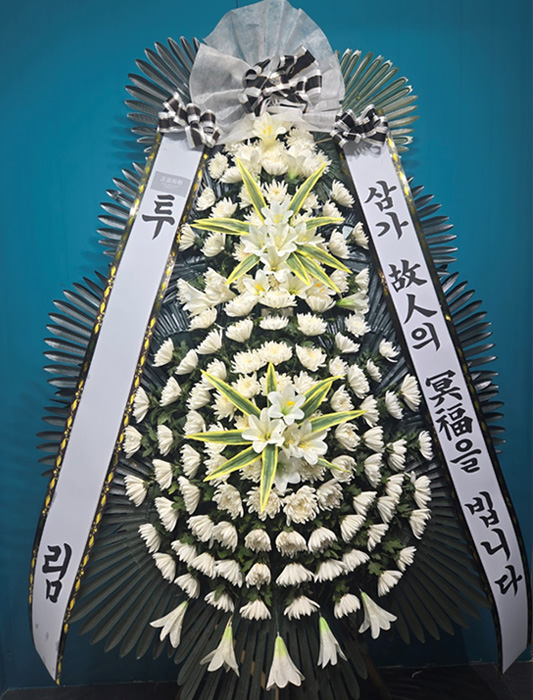 ST-FB233