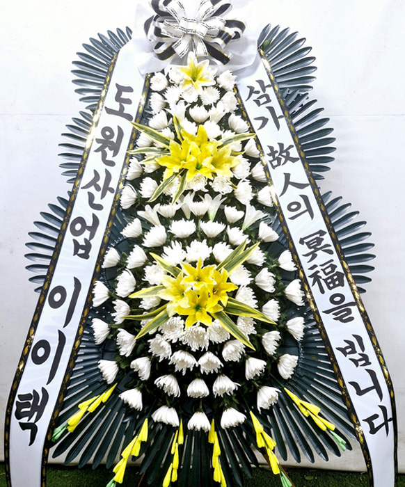 ST-FB0001