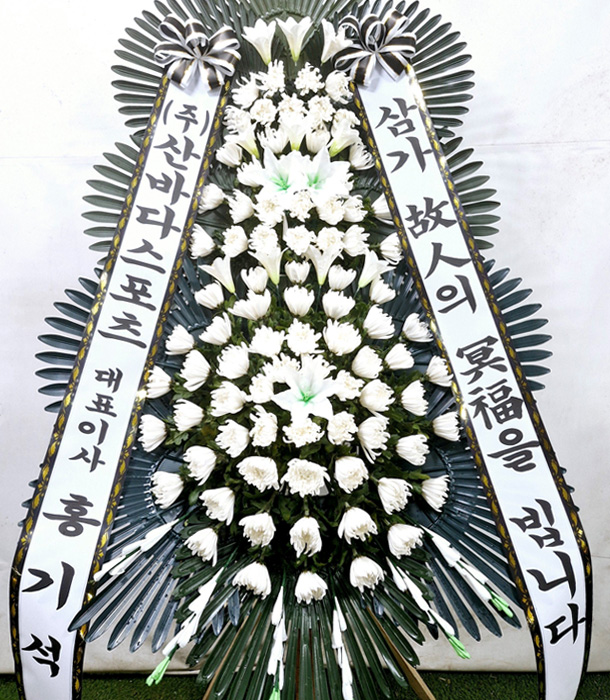 ST-FB226